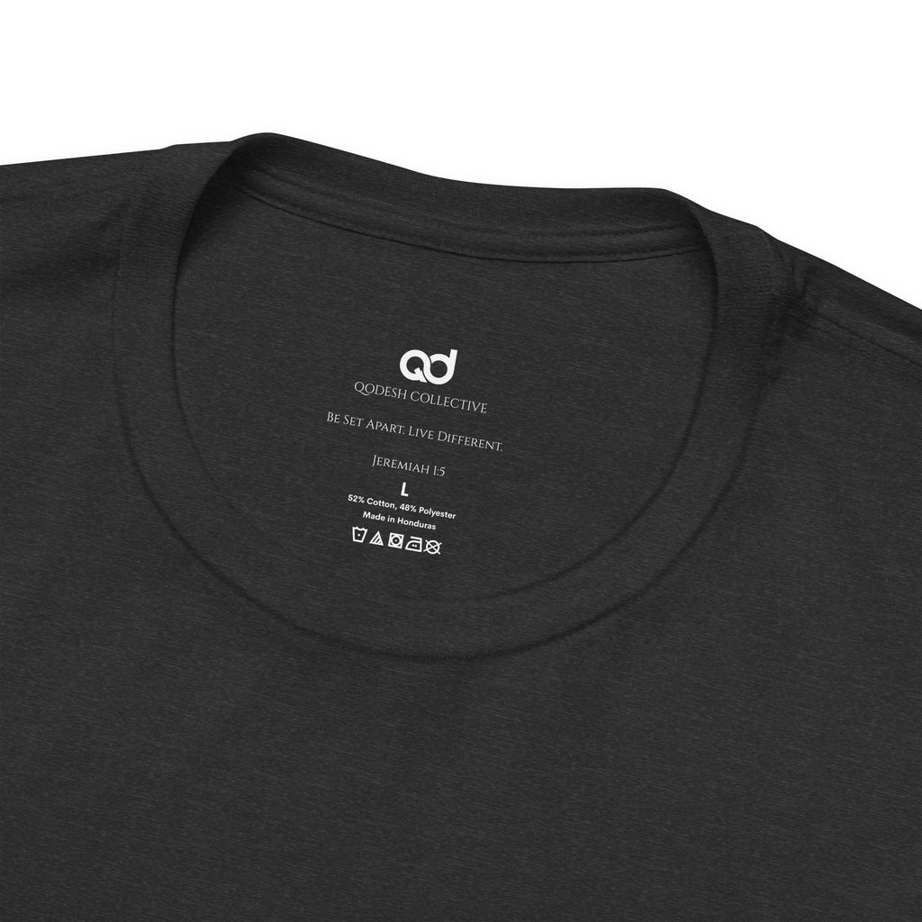 Faith & Finance T-Shirt — Red Dollar Currency Design (Hebrews 11:6)