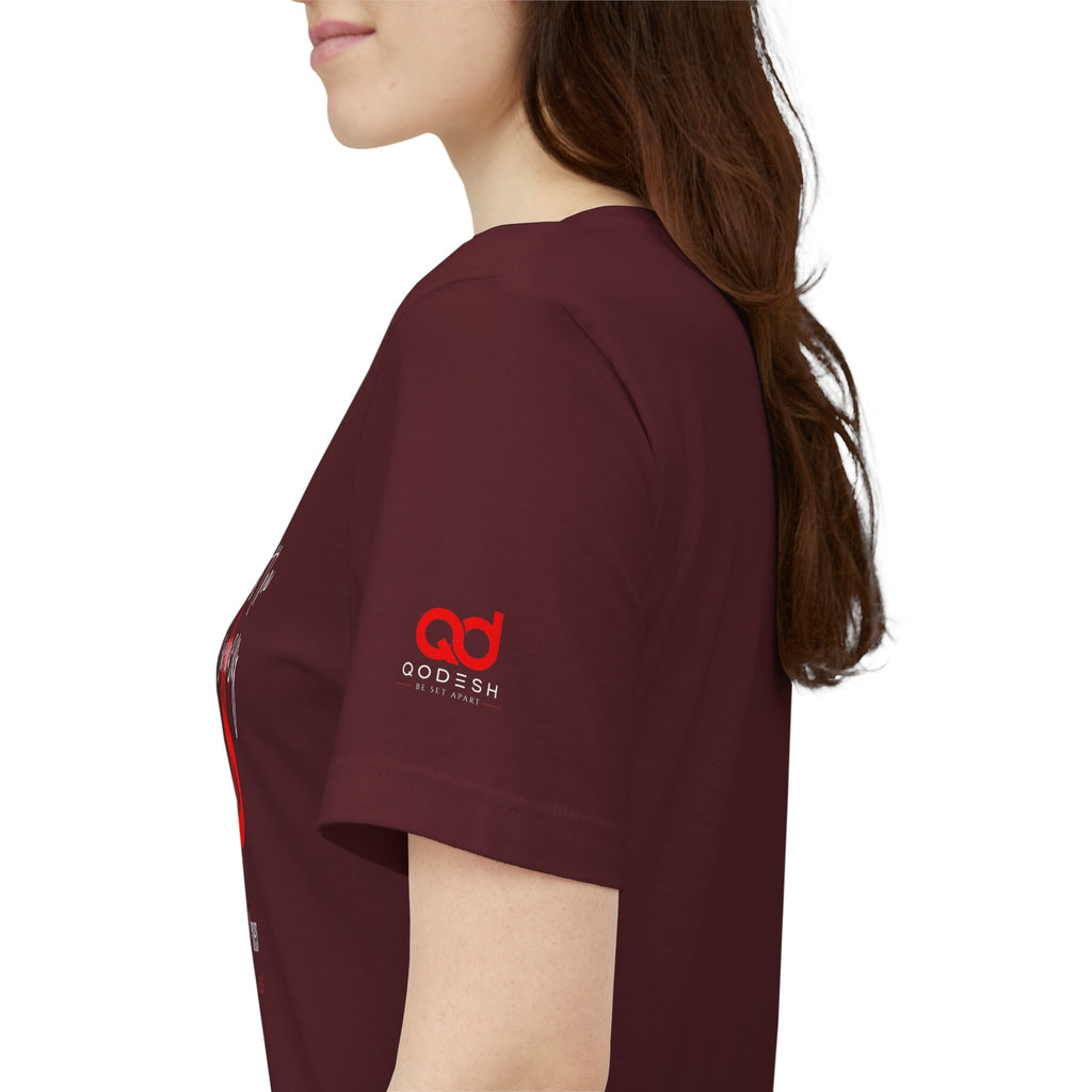 Faith & Finance T-Shirt — Red Dollar Currency Design (Hebrews 11:6)