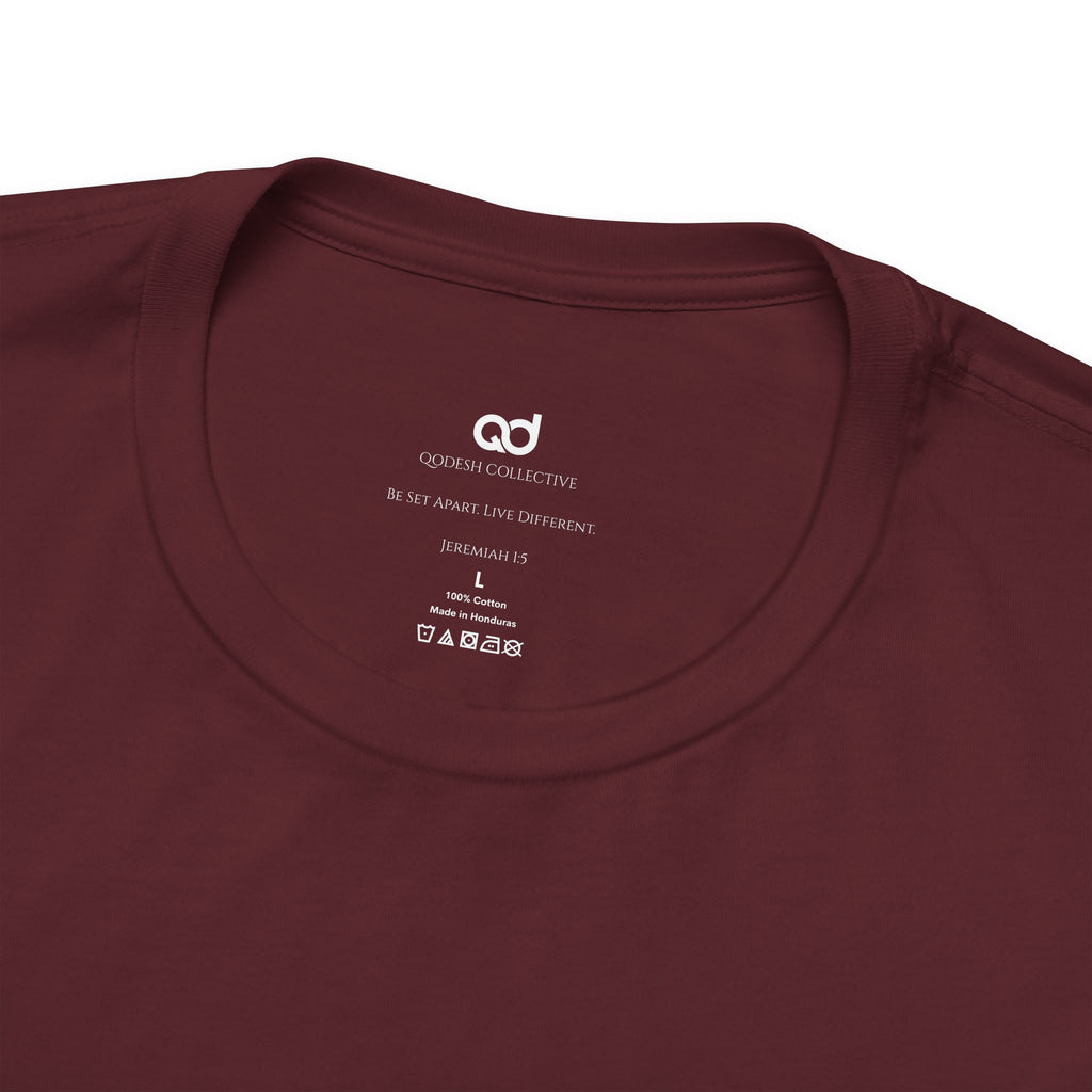 Faith & Finance T-Shirt — Red Dollar Currency Design (Hebrews 11:6)