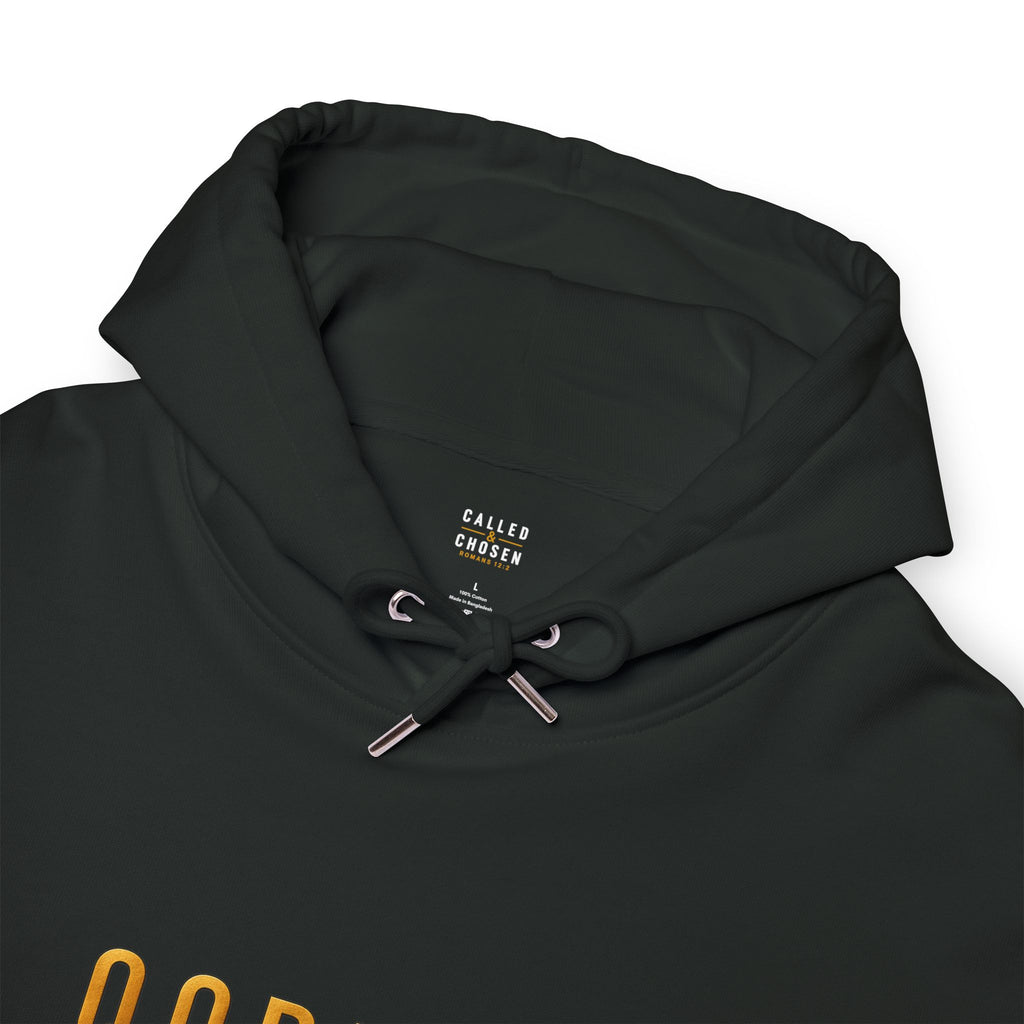 Lion & Lamb Hoodie – Gold Crown Split Face Pullover (Qodesh Apparel)